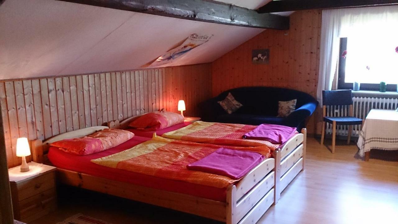 Gaestehaus Burgwald-Trekking Mittelsimtshausen エクステリア 写真