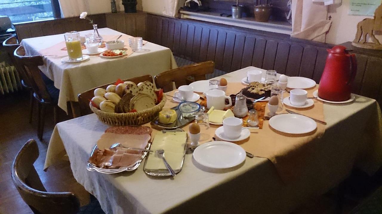 Gaestehaus Burgwald-Trekking Mittelsimtshausen エクステリア 写真